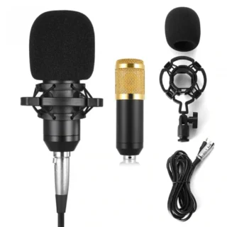 Microphone